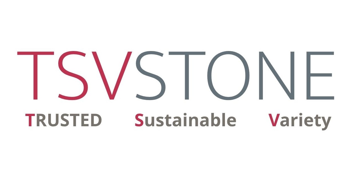 tsvstone.com